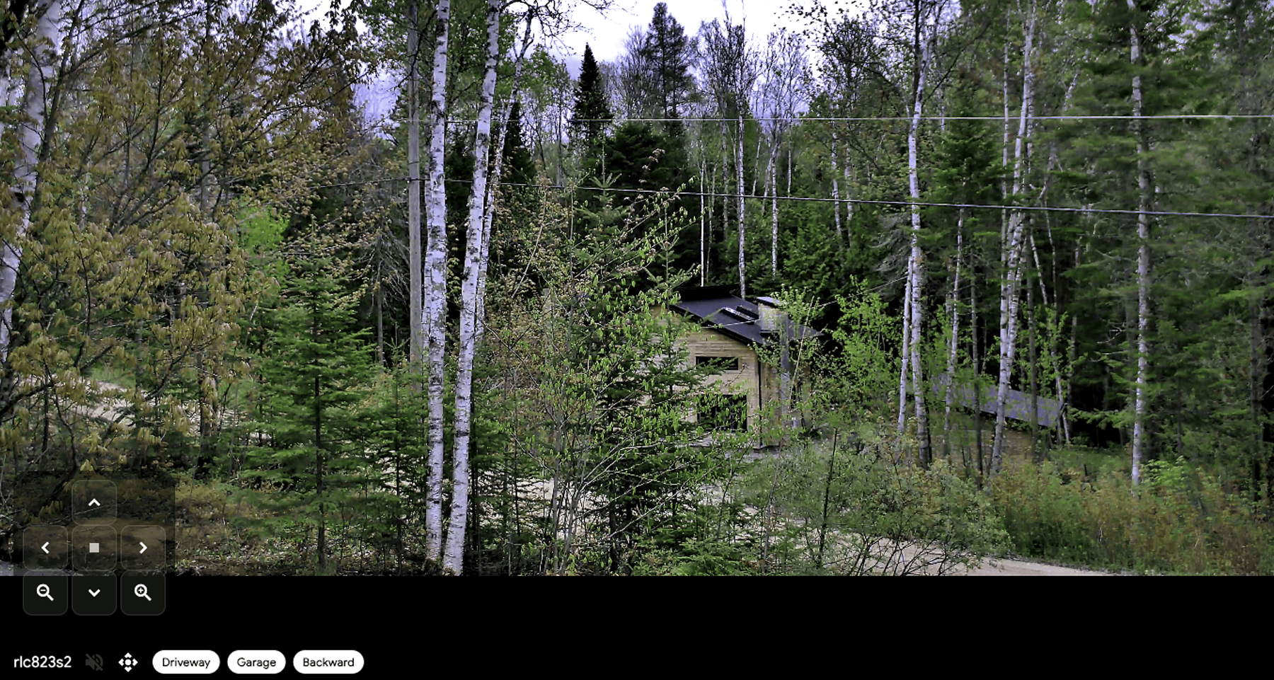 Fullscreen camera view with PTZ d-pad and preset capsules
